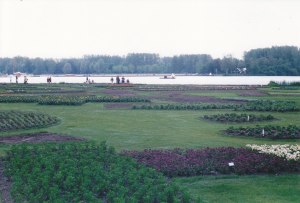 Floriade3