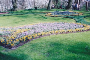 Keukenhof2003-3