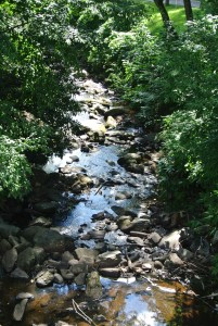 Looking down on mountain creek from dam by Moore Center